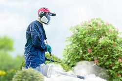 Обработка сада от паразитов - необходимые меры и их регулярность  в Люберцах