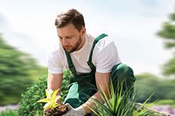 Озеленение и городское благоустройство, создание комфортной среды  в Люберцах