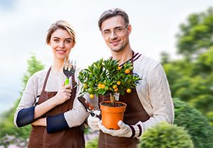 Проект «под ключ» где можно заказать по низкой цене  в Люберцах