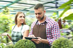 Дендроплан - верное планирование территории и решения этой задачи на уровне  в Люберцах