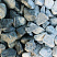 Kamenclub.ru: Щебень галтованный зеленый (змеевик) фр. 50-100 мм.  купить в Люберцах галтовка мраморная зеленый, салатовый мрамор 12 500 руб/т   фото КАМЕНЬ КЛУБ