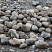 Kamenclub.ru: Речной валун (Ассорти) фр.100-300 мм.  купить в Люберцах галечник серый, темно-серый, светло-серый речная галька крупных размеров 4200 руб/т   фото КАМЕНЬ КЛУБ