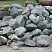 Kamenclub.ru: Гранит скальник (серо-зеленый) фр. 100-500 мм.  купить в Люберцах гранит зеленый, серый, салатовый крупный ландшафтный валун 6 000 руб/т   фото КАМЕНЬ КЛУБ