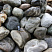 Kamenclub.ru: Речной валун Кабанчик фр.300-500 мм.  купить в Люберцах крупный природный камень галька серый, темно-серый речной валун галечник масштабный 7000 руб/т   фото КАМЕНЬ КЛУБ