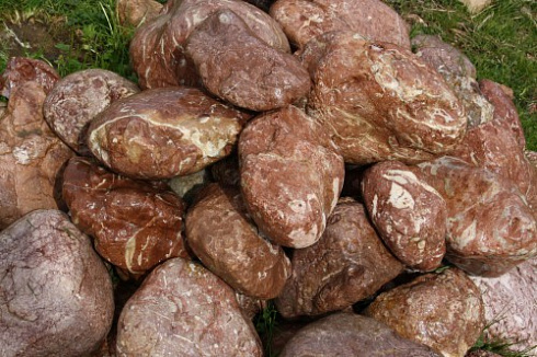 Kamenclub.ru: Розовый валунчик фр.100-300 мм.  купить в Люберцах крупный природный камень розовый, серый молочный красный речной галечник природный 7850 руб/т   фото КАМЕНЬ КЛУБ