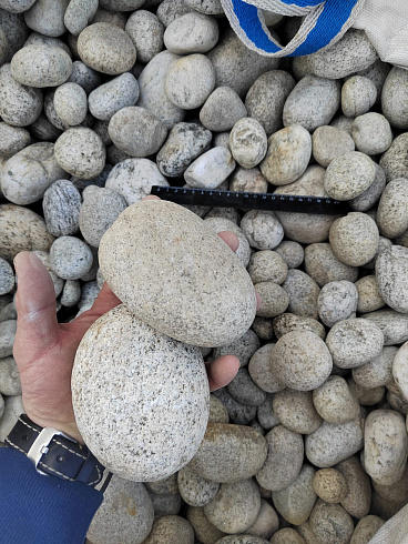 Kamenclub.ru: Галька речная окат (серо-белая) фр. 70-120 мм купить  в Люберцах галька галечник бело-серая, серо-белая, серая, белая речная природная галька  8000 руб/т   фото КАМЕНЬ КЛУБ