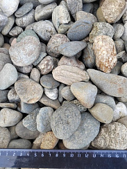 Kamenclub.ru: Галька речная окат (пестрая) фр. 20-40 мм. купить  в Люберцах галька речная пестрая, серая, серые оттенки галька речная окатанная округлая 5000 руб/т   фото КАМЕНЬ КЛУБ