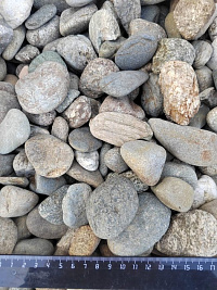Kamenclub.ru: Галька речная окат (пестрая) фр. 20-40 мм. купить  в Люберцах галька речная пестрая, серая, серые оттенки галька речная окатанная округлая 5000 руб/т   фото КАМЕНЬ КЛУБ