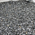 Kamenclub.ru: Щебень крошка черный (мрамор) фр. 10-20 мм.  купить в Люберцах мрамор черный с белыми прожилками, черный, белый каменная ландшафтная декоративная крошка щебня 11000 руб/т   фото КАМЕНЬ КЛУБ