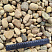 Kamenclub.ru: Галька речная окат рыжая фр. 20-40 мм. купить  в Люберцах галька речная окатанная рыжая желтая серая округлая речная галька 5000 руб/т   фото КАМЕНЬ КЛУБ