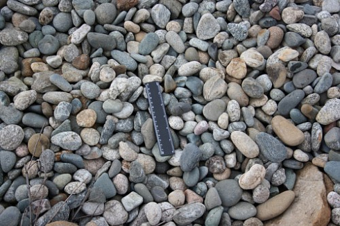 Kamenclub.ru: Галька речная окат (пестрая) фр. 20-40 мм. купить  в Люберцах галька речная пестрая, серая, серые оттенки галька речная окатанная округлая 5000 руб/т   фото КАМЕНЬ КЛУБ