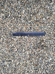 Kamenclub.ru: Галька речная окат (серая) фр.5-10 мм купить  в Люберцах галька речная серая, серый, темно-серый, светло-серый, коричневый речная окатанная галька декоративная ландшатфная 5000 руб/т   фото КАМЕНЬ КЛУБ