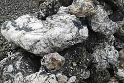 Kamenclub.ru: Черный гранит - кварцит фр. 100-500 мм.  купить в Люберцах мрамор гранит черный с белыми прожилками, серый, белый валун скальный колотый 7000 руб/т   фото КАМЕНЬ КЛУБ