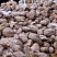 Kamenclub.ru: Розовый валунчик фр.100-300 мм.  купить в Люберцах крупный природный камень розовый, серый молочный красный речной галечник природный 7850 руб/т   фото КАМЕНЬ КЛУБ