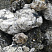 Kamenclub.ru: Черный гранит - кварцит фр. 100-500 мм.  купить в Люберцах мрамор гранит черный с белыми прожилками, серый, белый валун скальный колотый 7000 руб/т   фото КАМЕНЬ КЛУБ