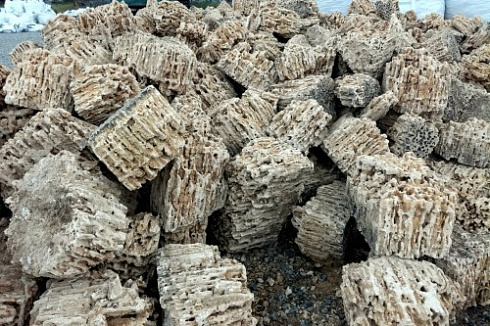 Kamenclub.ru: Крымский природный меотис фр. 100-500 мм.  купить в Люберцах меотис бежевый рыжий молочный желтый ракушечник 4 500 руб/т   фото КАМЕНЬ КЛУБ