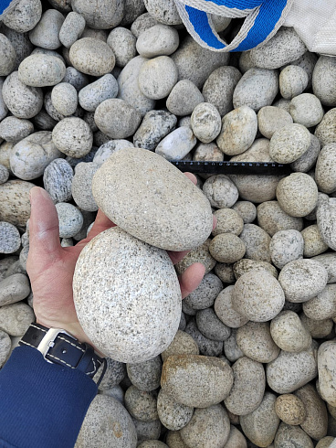 Kamenclub.ru: Галька речная окат (серо-белая) фр. 70-120 мм купить  в Люберцах галька галечник бело-серая, серо-белая, серая, белая речная природная галька  8000 руб/т   фото КАМЕНЬ КЛУБ