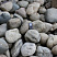 Kamenclub.ru: Темно-серый валунчик фр.100-300 мм.  купить в Люберцах крупный природный камень серый, темно-серый, светло-серый речная галька большого размера окатанная 4500 руб/т   фото КАМЕНЬ КЛУБ