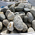 Kamenclub.ru: Речной валун (Ассорти) фр.100-300 мм.  купить в Люберцах галечник серый, темно-серый, светло-серый речная галька крупных размеров 4200 руб/т   фото КАМЕНЬ КЛУБ