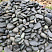 Kamenclub.ru: Темно-серый валунчик фр.100-300 мм.  купить в Люберцах крупный природный камень серый, темно-серый, светло-серый речная галька большого размера окатанная 4500 руб/т   фото КАМЕНЬ КЛУБ