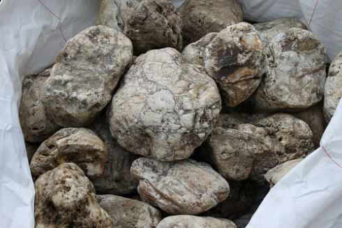 Kamenclub.ru: Кварцевый валунчик фр.100-300 мм.  купить в Люберцах кварц белый, бежевый молочный рыжий крупный природный камень галечник 7850 руб/т   фото КАМЕНЬ КЛУБ