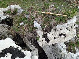 Kamenclub.ru: Выветренный известняк (степной) фр. 500-1500 мм.  купить в Люберцах    10000 руб/т   фото КАМЕНЬ КЛУБ