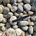 Kamenclub.ru: Галька речная окат (серо-белая) фр. 70-120 мм купить  в Люберцах галька галечник бело-серая, серо-белая, серая, белая речная природная галька  8000 руб/т   фото КАМЕНЬ КЛУБ