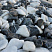 Kamenclub.ru: Мраморная крошка (щебень галтованный микс:: белый-черный) фр.20-40 мм  купить в Люберцах мрамор белый, черный мраморный галтованный щебень 15500 руб/т   фото КАМЕНЬ КЛУБ