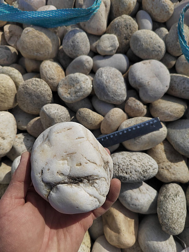 Kamenclub.ru: Галька речная окат (серо-белая) фр. 70-120 мм купить  в Люберцах галька галечник бело-серая, серо-белая, серая, белая речная природная галька  8000 руб/т   фото КАМЕНЬ КЛУБ