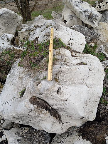 Kamenclub.ru: Выветренный известняк со мхом фр. 100-500 мм.  купить в Люберцах известняк серый белый зеленый валун известняковый крупный 10000 руб/т   фото КАМЕНЬ КЛУБ