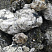 Kamenclub.ru: Черный гранит - кварцит фр. 100-500 мм.  купить в Люберцах мрамор гранит черный с белыми прожилками, серый, белый валун скальный колотый 7000 руб/т   фото КАМЕНЬ КЛУБ