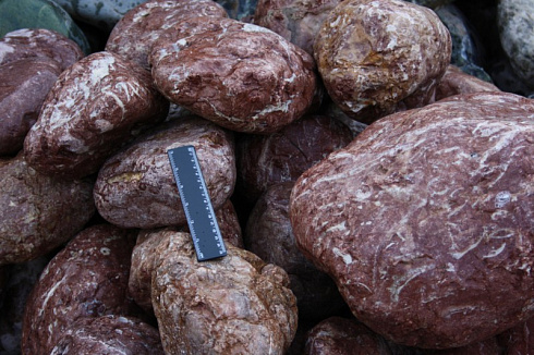 Kamenclub.ru: Розовый валунчик фр.100-300 мм.  купить в Люберцах крупный природный камень розовый, серый молочный красный речной галечник природный 7850 руб/т   фото КАМЕНЬ КЛУБ