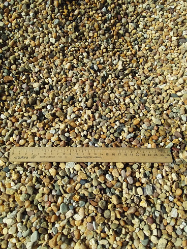 Kamenclub.ru: Галька окат (серо-желтая) фр.5-10 мм. купить  в Люберцах галька речная рыжий, желтый, рыжий, серо-желтый речная окатанная галька декоративная 5000 руб/т   фото КАМЕНЬ КЛУБ