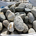 Kamenclub.ru: Речной валун (Ассорти) фр.100-300 мм.  купить в Люберцах галечник серый, темно-серый, светло-серый речная галька крупных размеров 4200 руб/т   фото КАМЕНЬ КЛУБ