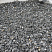 Kamenclub.ru: Щебень крошка черный (мрамор) фр. 5-10 мм.  купить в Люберцах мрамор черный с белыми прожилками, черный, белый мраморная крошка декоративная ландшафтная 11000 руб/т   фото КАМЕНЬ КЛУБ