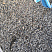 Kamenclub.ru: Галька речная окат (серая) фр.3-5 мм купить  в Люберцах галька речная серая бежевый темно-серый окатанный речной камень округлый 9500 руб/т   фото КАМЕНЬ КЛУБ