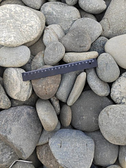 Kamenclub.ru: Галька речная плоская (ассорти) фр. 70-150 мм. купить в Люберцах галька галечник серый белый темно-серый синий светло-серый плоская природная галька  9000 руб/т   фото КАМЕНЬ КЛУБ