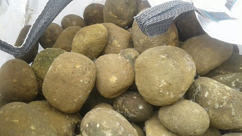 Kamenclub.ru: Песчаник ядра, фр. 100-300 мм  купить в Люберцах песчаник бежевый серый рыжий речная галька 5 000 руб/т   фото КАМЕНЬ КЛУБ