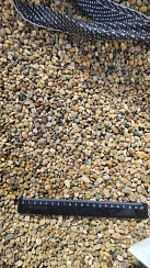 Kamenclub.ru: Галька окат (серо-желтая) фр.5-10 мм. купить  в Люберцах галька речная рыжий, желтый, рыжий, серо-желтый речная окатанная галька декоративная 5000 руб/т   фото КАМЕНЬ КЛУБ