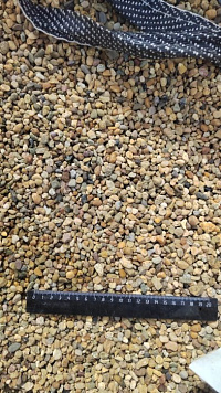 Kamenclub.ru: Галька окат (серо-желтая) фр.5-10 мм. купить  в Люберцах галька речная рыжий, желтый, рыжий, серо-желтый речная окатанная галька декоративная 5000 руб/т   фото КАМЕНЬ КЛУБ