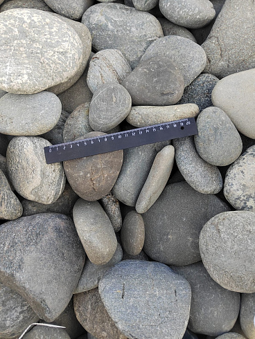 Kamenclub.ru: Галька речная плоская (ассорти) фр. 70-150 мм. купить  в Люберцах галька галечник серый белый темно-серый синий светло-серый плоская природная галька  9000 руб/т   фото КАМЕНЬ КЛУБ
