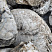 Kamenclub.ru: Кварцевый валунчик фр.100-300 мм.  купить в Люберцах кварц белый, бежевый молочный рыжий крупный природный камень галечник 7850 руб/т   фото КАМЕНЬ КЛУБ