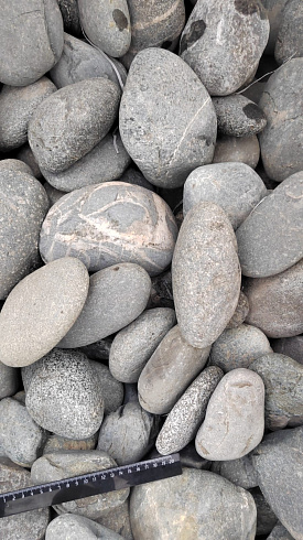 Kamenclub.ru: Галька речная окат (темно-серая) фр. 70-150 мм. купить  в Люберцах галька речная темно-серая, синяя, серая речная галька округлая  8000 руб/т   фото КАМЕНЬ КЛУБ