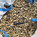 Kamenclub.ru: Галька речная окат рыжая фр. 20-40 мм. купить  в Люберцах галька речная окатанная рыжая желтая серая округлая речная галька 5000 руб/т   фото КАМЕНЬ КЛУБ