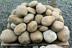Kamenclub.ru: Песчаник ядра, фр. 100-300 мм  купить в Люберцах песчаник бежевый серый рыжий речная галька 5 000 руб/т   фото КАМЕНЬ КЛУБ