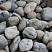 Kamenclub.ru: Речной валун (Ассорти) фр.100-300 мм.  купить в Люберцах галечник серый, темно-серый, светло-серый речная галька крупных размеров 4200 руб/т   фото КАМЕНЬ КЛУБ