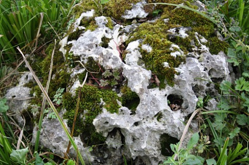 Kamenclub.ru: Выветренный известняк со мхом фр. 100-500 мм.  купить в Люберцах известняк серый белый зеленый валун известняковый крупный 10000 руб/т   фото КАМЕНЬ КЛУБ