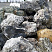 Kamenclub.ru: Черный гранит - кварцит фр. 100-500 мм.  купить в Люберцах мрамор гранит черный с белыми прожилками, серый, белый валун скальный колотый 7000 руб/т   фото КАМЕНЬ КЛУБ