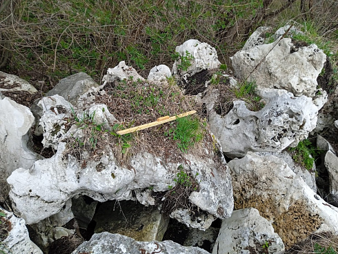 Kamenclub.ru: Выветренный известняк (степной) фр. 500-1500 мм.  купить в Люберцах    10000 руб/т   фото КАМЕНЬ КЛУБ