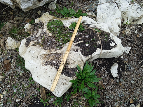 Kamenclub.ru: Выветренный известняк (степной) фр. 500-1500 мм.  купить в Люберцах    10000 руб/т   фото КАМЕНЬ КЛУБ